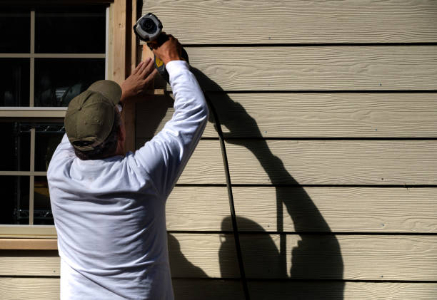 Best Siding Painting and Refinishing  in Thomasboro, IL